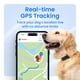 thumbnail image 2 of Localizador GPS Tractive Smart para perro con 6 meses de suscripción, 2 of 7