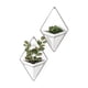 thumbnail image 1 of Maceta colgante para decoración de pared Umbra Trigg, juego de 2 unidades, color blanco, 1 of 9