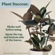 thumbnail image 5 of Spray para plantas Miracle-Gro insecticida 4 en 1 2 x 236 ml, 5 of 9