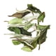 thumbnail image 1 of Té Blanco Bai Mu Dan 28 grs, 1 of 2