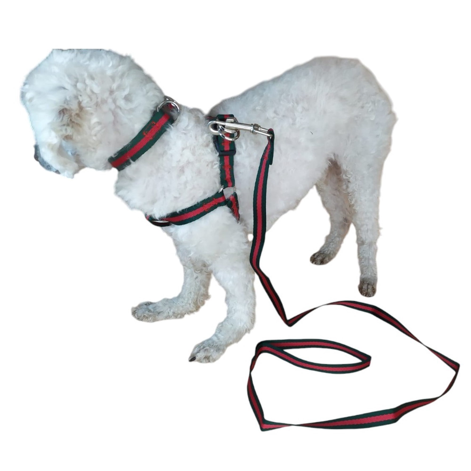 Correa, Arnés Y Collar Para Perros De Razas Pequeñas