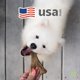 thumbnail image 5 of Juguete masticable para perros Benebone Wishbone, duradero para masticadores agresivos, 5 of 6