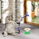 thumbnail image 5 of Colibrí Autoalfombraico Gato Juguete, 360 Grados Giratorio Interactivo Gato Juguete, Colibrí Eléctrico Gato Juguete, Kitten Intelligence Training Pluma Juguetes, Gato Juguetes Varita fo..., 5 of 7