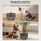 thumbnail image 4 of Comedero automático para gatos y dispensador de agua para gatos Sarpaws 3L/2L, 4 of 7