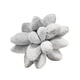 thumbnail image 5 of Throw Pillow Cojines Decorativos Para Dormir Cojines Divertidos Lovely Universal Para Sofá Gris, 5 of 5