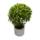 thumbnail image 4 of Plantas Artificiales Mini Bonsai Arbol Decoracion 6 unidades verde, 4 of 5
