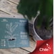 thumbnail image 2 of Discos Agropelo Natural 19cm, Mulch De Ahorro Hidrico Para Maceteros, 2 of 2