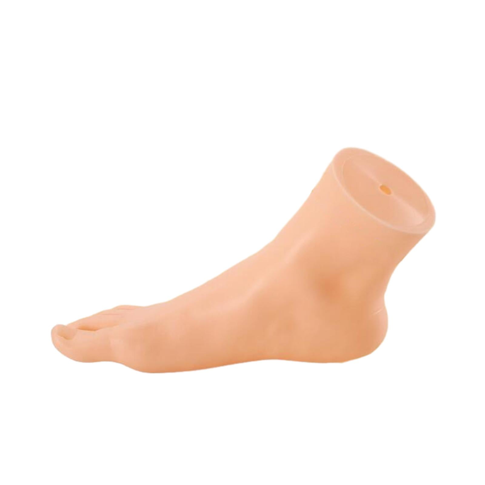 Magideal - Modelo De Pie De Simulación, Exhibición De Pie De Maniquí, Exhibición De Calcetines Livianos, Sandalias, Zapatos, Exhibición De Calcetines Para El , Femenino Pie Derecho Femenino