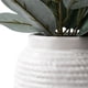 thumbnail image 2 of Peperomia Artificial, 2 of 4