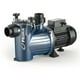 thumbnail image 1 of Bomba de Piscina Prima 33M 0,33HP Pedrollo, 1 of 2