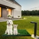 thumbnail image 4 of Baño para Mascotas XXL Pet Potty, 4 of 5