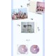 thumbnail image 3 of Álbum de exhibición K PLACE TWICE Formula Of Love: O+T=<3, 3 of 5