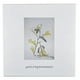 thumbnail image 2 of Agua Fresca Mimosa Mujer Estuche Edt 120ml+locion 75ml (anual Latam), 2 of 2
