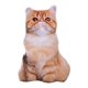 thumbnail image 4 of Almohada De Felpa De Simulación, Juguetes Divertidos Para Ni?os, Para Oficina, Habitación De Ni?os, Sofá, Garfield, 4 of 5