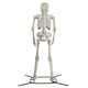 thumbnail image 3 of Figura esqueleto 3m con soporte metálico, 3 of 5
