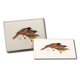 thumbnail image 3 of Juego de tarjetas de notas Earth Sky + Water – 8 tarjetas – Oriol de Baltimore, 3 of 3