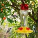thumbnail image 5 of Comedero para colibríes Shrdaepe, botella de vidrio, 300 ml, 5 puertos, 5 of 7