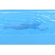 thumbnail image 4 of Estatua de póster de película SD TOYS Jaws 3D con 25 cm de altura, 4 of 8