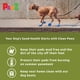 thumbnail image 3 of Botas para perros Protex PawZ de goma para todo tipo de clima, impermeables, tamaño mediano, 3 of 7
