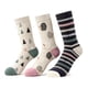 thumbnail image 1 of Calcetines Diseño Mujer Multicolor Talla 35-39, 1 of 2