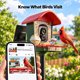 thumbnail image 2 of 3K HD Smart Bird Feeder with Camera, 2.4GHz WiFi Solar Power, 2 of 3