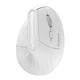 thumbnail image 1 of Ratón KYSONA 57°, ergonómico, inalámbrico, torre, Bluetooth 5.0/3.0, 1 of 6