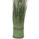 thumbnail image 2 of Planta Decorativa Artificial Tillandsia Ancha, 2 of 5
