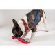thumbnail image 3 of Juguete Para Perro Cuerda Spiderman, 3 of 3