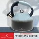 thumbnail image 2 of Hervidor de té Emeril 2,5 L acero inoxidable turquesa, 2 of 6