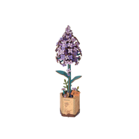 Genérico - Flor De Lilas De Madera