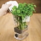 thumbnail image 5 of Herb Keeper ProKeeper de plástico blanco sin BPA con tapón de desagüe, 5 of 5