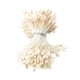 thumbnail image 1 of 1 paquete artificial mate doble cabeza flor estambre pistilo crema, 1 of 5