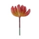 thumbnail image 2 of 2.95 '' Planta Suculenta Artificial Planta Echeveria Oficina Decoración para el Hogar DIY # 9, 2 of 3