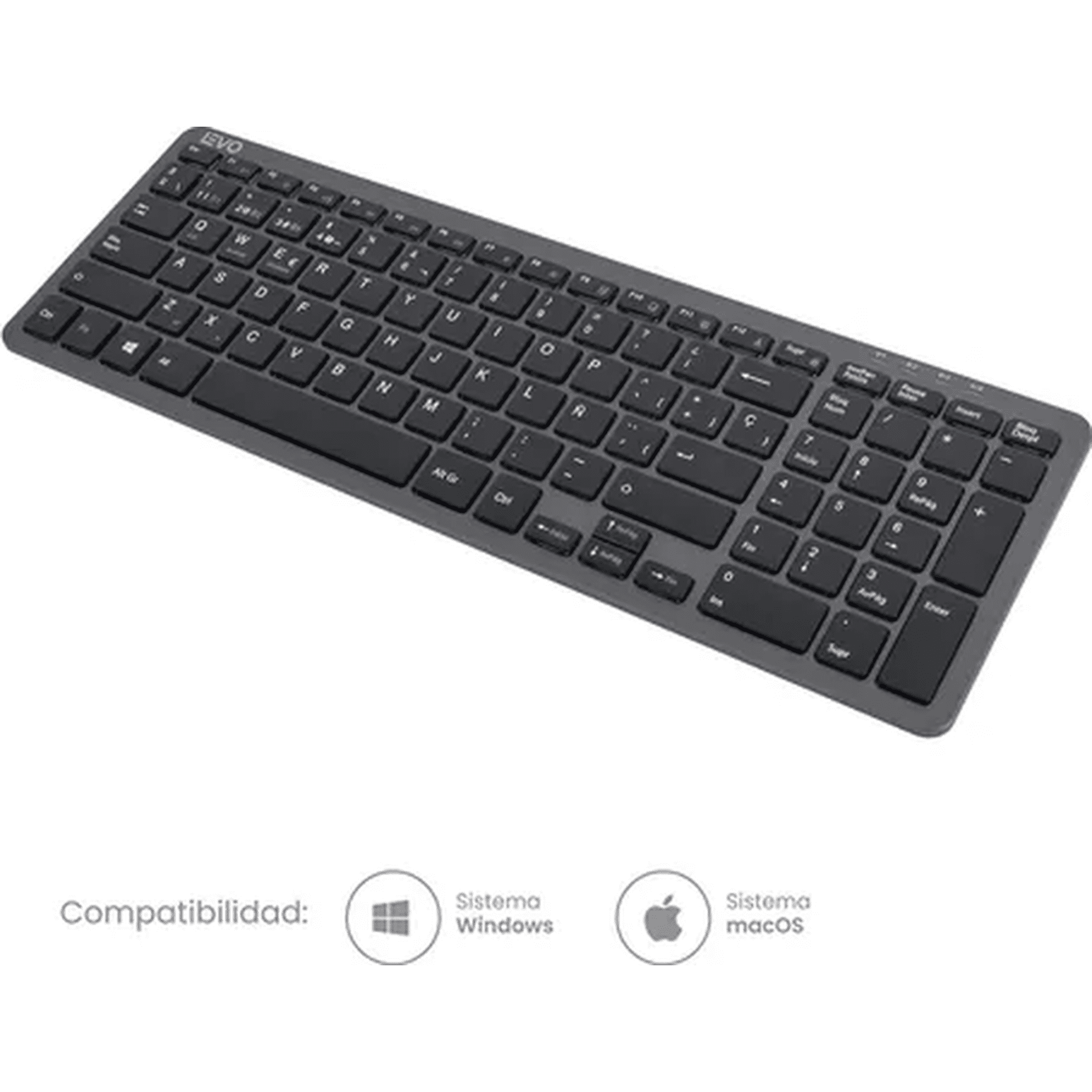 Genérico - Teclado Cygna Slim Inalámbrico Grafito