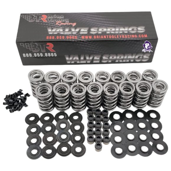 Kit de Muelles de Válvula Dynosty BTR LS .660" con Retenedores