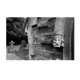 thumbnail image 3 of Película Ilford HP5 Plus ISO 400 blanco y negro rollo 120, 3 of 3