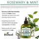 thumbnail image 2 of Tratamiento para el crecimiento del cabello con aceite de menta y romero Difeel, 2 of 3