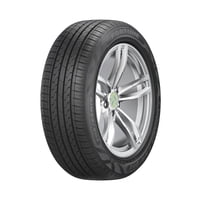 Neumatico 225/55 R17 Fortune Fsr 802