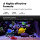 thumbnail image 5 of Suplemento para Acuario Brightwell Aquatics ChaetoGro 2 L, 5 of 7