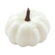 thumbnail image 1 of Calabaza Artificial De Halloween, Calabazas De Espuma, Decoración, Centro De Mesa, 6,5x9cm, Blanco, 1 of 5