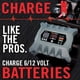 thumbnail image 2 of Cargador inteligente Clore Automotive PL2310, batería de 10 A, 6 V/12 V, 2 of 6