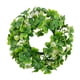 thumbnail image 2 of St Patricks Day Shamrock Wrath Creative Para La Sala De Estar De Escritorio Al Aire Libre, 2 of 5