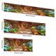 thumbnail image 5 of Pancarta de Fondo Temático Dinosaur Train Desmarcar 150x90cm, 5 of 6