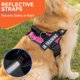 thumbnail image 2 of Arnés para perro Tsikavo antitirones reflectante y ajustable, 2 of 6