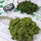 thumbnail image 4 of suxuMhao Musgo Artificial, Musgo Falso para Manualidades y Musgo para Plantas de Interior, 3 Packs de Musgo para Plantas (150G/0.33lb en Total, 50G/0.11lb por Paquete) - Relleno para Macetas para, 4 of 5