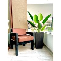 Arbusto Real - Planta Artificial Ave Del Paraiso 160 Cm. / 10 Hojas.