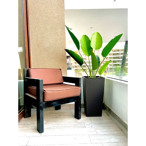 Arbusto Real - Planta Artificial Ave Del Paraiso 160 Cm. / 10 Hojas.