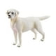 thumbnail image 1 of Modelos De Estatuillas De Perros Emulacionales Pintados A Mano Para Decoración De Fiestas Temáticas Labrador Blanco, 1 of 5