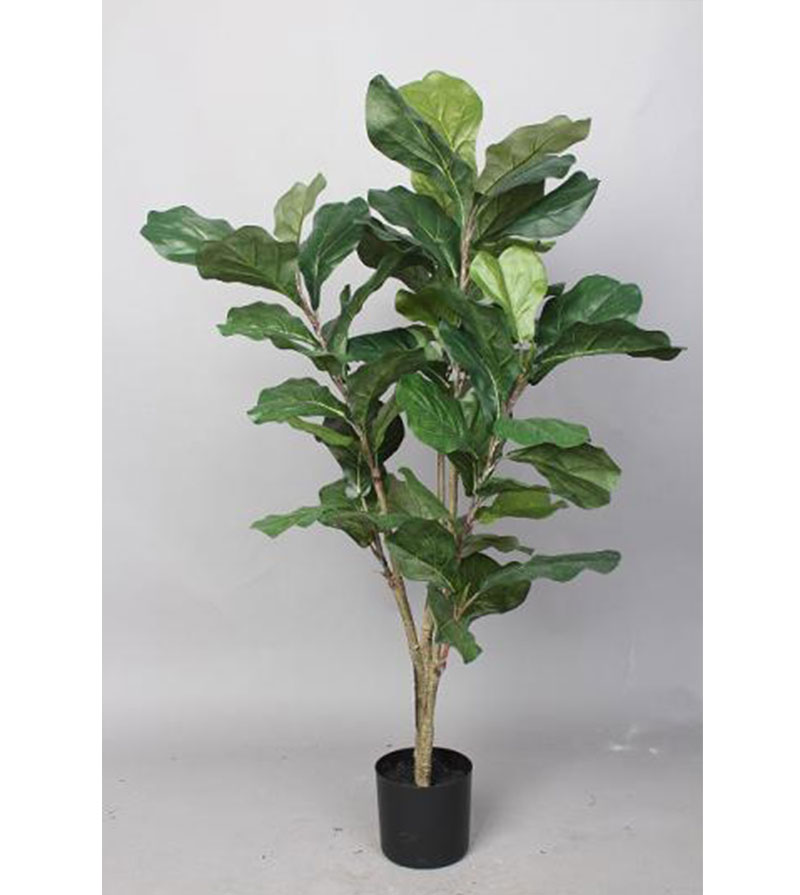 Corel - Planta Decorativa Árbol De Fiddle 90 Cm