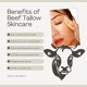 thumbnail image 2 of Bálsamo Labial Seoul Naturals 14 ml Sabor a Menta, 2 of 6